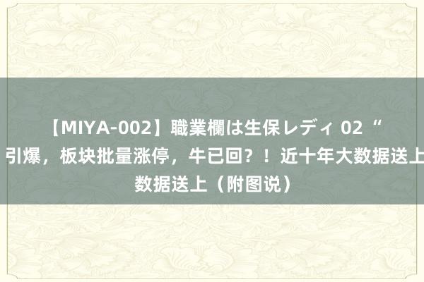 【MIYA-002】職業欄は生保レディ 02 “牛市旗头”引爆，板块批量涨停，牛已回？！近十年大数据送上（附图说）