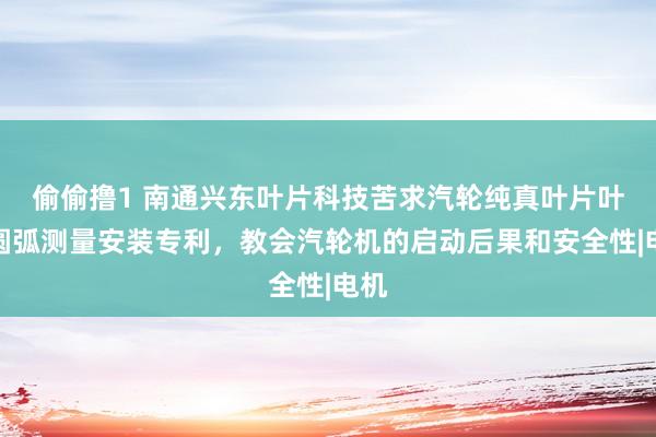 偷偷撸1 南通兴东叶片科技苦求汽轮纯真叶片叶根圆弧测量安装专利，教会汽轮机的启动后果和安全性|电机